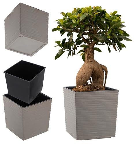 KADAX Fioriera quadrata 19,5 cm, grigio tortora – grande vaso di fiori in plastica per interni ed esterni, ideale per la decorazione di giardino, terrazza e balcone