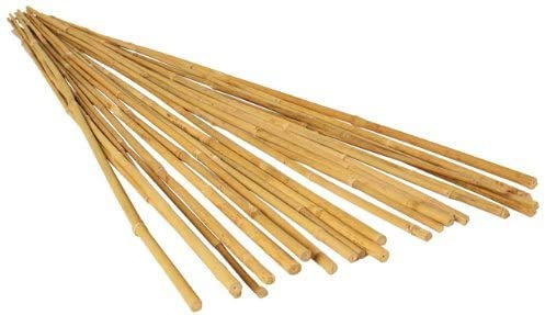 2ft -3ft- 4ft- 5ft - 6ft Garden Bamboo Canes/Poles/Stakes/Trellis Strong Quality Plant Support Green Canes(10 X 2FT)