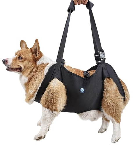 KAJILE Imbracatura di Sollevamento/Trasporto per Cani,Cinghie di Sostegno e Di riabilitazione Dell'imbracatura per Animali Domestici per Anziani,Disabili,Iesioni Articolari,Artrite,Nero,L