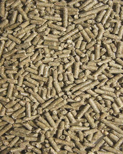 Goldhase Kaninchen M+Z + COC 25kg