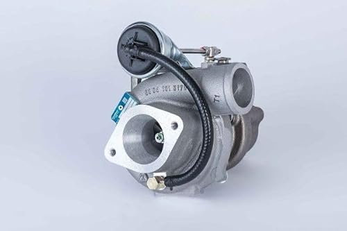 BorgWarner DS118613 Pompa frizione a lamelle-quattro ruote motrici Posteriore