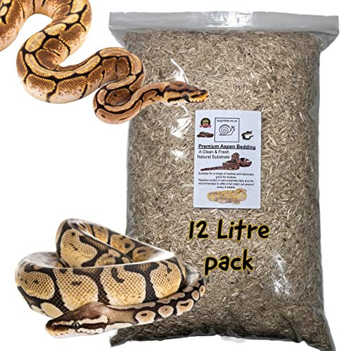 Bugznbits Aspen Bedding, Natural Substrate That's Great For Snakes, Reptiles, Hamsters, Guinea Pigs and Lizards (12 Litre)
