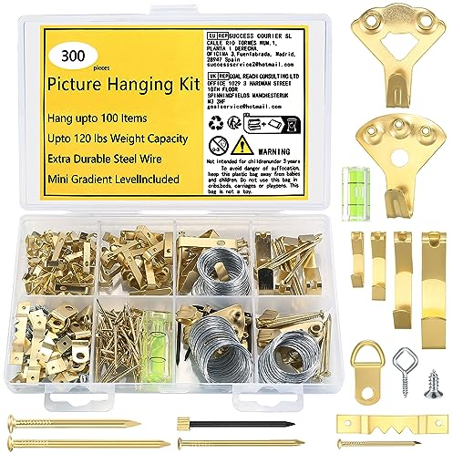 Set Appendi Quadri, 300 Pz Accessori per Cornici con Ganci & Chiodi, Filo, Gancio Affilato, Anelli a D, per Cornici Legno Foto, Massima Capacità 100LB