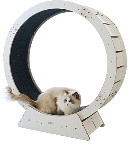 Katzenlaufrad, Katzenlaufrad für Hauskatzen, geräuschloses Katzenlaufrad für kleine/mittlere/große Katzen, Montage des Kätzchenlaufbands erforderlich, freier Lauf (Größe: 120 cm/47,2 Zoll)