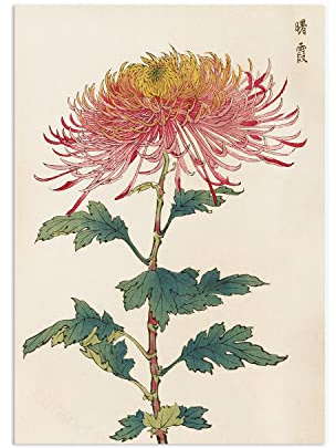 Japanische Kunst – Wanddekor Poster Ukiyo-e Chrysanthemen Blume Woodblock Druck (ungerahmt)