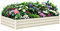 BUTUNITA Hochbeet Outdoor, 2.4x1.2x0.3m Gartenbox Beige Gartenbeet Metall Hochbeet für Gartenarbeit Gemüse Blumen Pflanzkasten Hochbeet