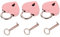 NUOBESTY 3 Juegos bloqueo del corazón corazones Candado cerrar pequeño para forma de corazón cerradura de corazón cerraduras de maleta keyed padlock Aleación de zinc rosa