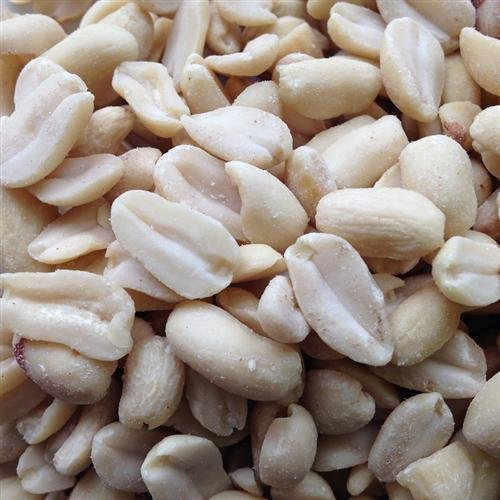 Futterbauer Erdnüsse weiß blanchiert 25 kg ohne Schale ohne Haut