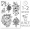 AWAKEN Temporäre Fake-Tattoos, Juice Tattoo, semi-permanente, wasserfeste, pflanzliche temporäre Tattoo-Aufkleber, hält 1–2 Wochen, Packung von Medusa Writings (Design 23)