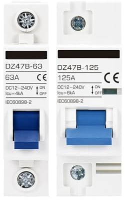 Batterie-Miniatur-Leistungsschalter DC-Trennschalter 12 V 24 V 36 V 48 V 96 V 240 V Schutz 10 A 16 A 20 A 25 A 32 A 63 A 100 A 125 A(20A)