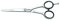 Jaguar Schere Silver Ice 6 Zoll/15.5 cm, 1er Pack (1 x 1 Stück)