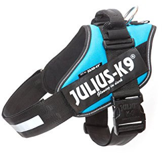 JULIUS K-9 IDC Powergeschirr, Größe: XL / 2, Aquamarine, 16IDC-AM-2