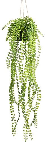 Botanic-Haus künstliche Ficus Pumila Pflanze Hängeampel im schwarzen Kunststofftopf