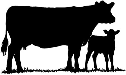Auto-Aufkleber Und Aufkleber, 30 Cm, Für Rinder, Vieh, Ranch, Kuh, Stier, Fensteraufkleber, Gestanzte Vinyl-Aufkleber Für Fenster, Autos, LKWs, Laptops (2 Stück)
