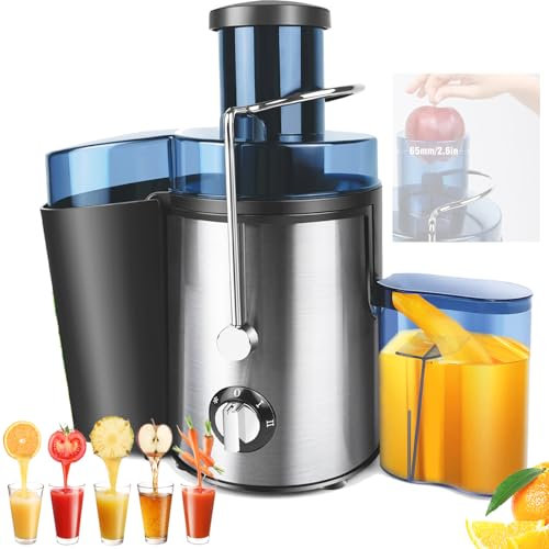Juicer, Maker Machines, Compact Juicer, Centrifugal Juicer Machine with 3 Speed Control, 500ML Capacity, Fruit and Vegetable Juice Extractor with Two Speed Settings, Easy to Clean, Silver