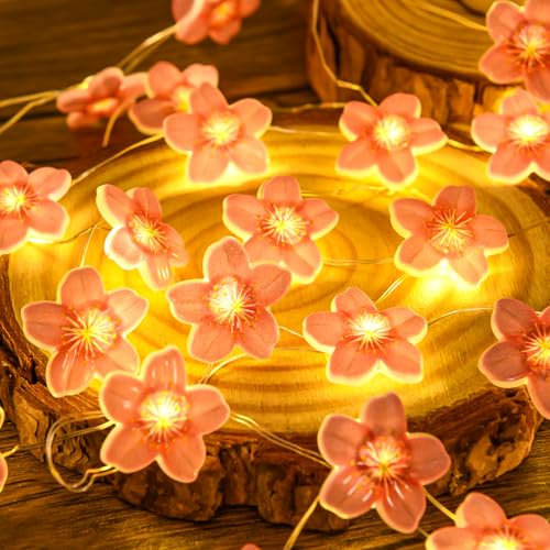 Etopgo LED luci fiabesche fiori di ciliegio, 2M 20 LED fiabesche batteria interna, luci ghirlanda di fiori con timer, decorazione primaverile per festival, interno/esterno, matrimonio, festa