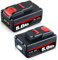 2 Stück 20V 5.0Ah WA3551 Ersatzakku für Worx Akku Kompatibel mit Worx 20V Akku WA3553 WA3556 WA3641 WA3605 WA3551 WA3572 Mit Front und Rücklicht, kein Original