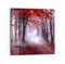 DEQORI Glasbild Echtglas | Motiv Roter Blätterwald | quadratisch einteilig 30x30 cm | schöne Dekoration | Wandbild für Wohnzimmer, Schlafzimmer, Flur & Küche | moderne Wanddeko