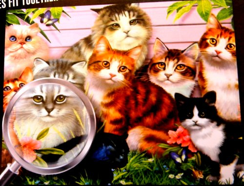 Flawless Finish Puzzle, 1000 Teile, Katzen, Kätzchen, Howard Robinson
