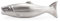 Kikkerland Magic Soap Fisch