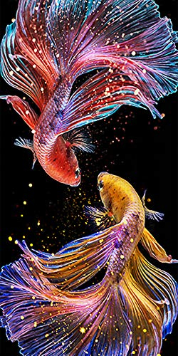 5D Diamant Malerei Voll Set DIY 5D Diamond Painting Kunst Schöner Schwanzfisch für Erwachsene Painting by Numbers Strassstein Stickerei Leinwand Bilder Kreuzstich Kunsthandwerk Wohnzimmer 45 x 85 cm
