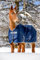 Bucas Freedom Turnout 165 Pferdedecke Light Navy/Silber
