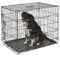 Kerbl Pet Gittertransportbox, klappbar, schwarz, 63x48x57cm, 1 Tür