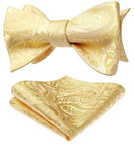 HISDERN Fliege Herren Set Gelb Fliegen mit Einstecktuch Formale Klassische Paisley Verstellbar für Bräutigam Hochzeit Party Fasching