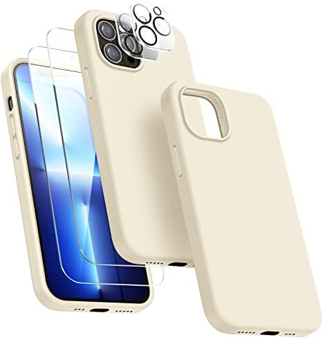Dssairo [5-in-1 für iPhone 13 Pro Max Hülle 6,7 Zoll, mit 2 Displayschutzfolien + 2 Stück Kameraobjektivschutz, Flüssigsilikon Ultra Slim Stoßfest Schutzhülle (Stein)