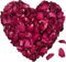 HXJDAM 120g Dried Rose Petals, Rose Petal Confetti, Biodegradable 100% Flower Petals, Rose Petals For Bath Wedding Confetti Birthday Party Proposal DIY Crafts Accessories