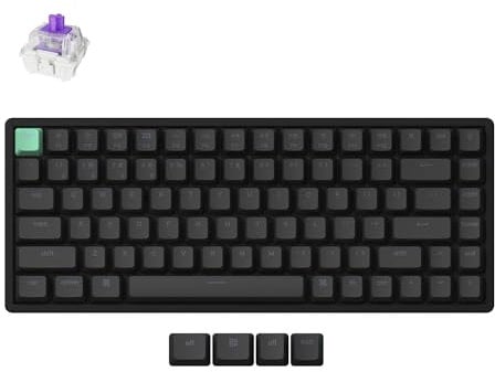 Keychron K2 HE Clavier Magnétique sans Fil, 2.4Ghz/Bluetooth/USB-C, RGB, Hot-Swap, QMK/Via, Gateron Magnetic Switch Nebula, Compatible avec Mac Windows Linux, Standard Edition Nègre