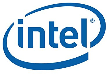 Intel ssdpe2me020t401 Interne Solid State Drive 20TB Noir