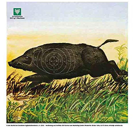 Akah 10x DJV-Luftgewehr-Jagdscheibe Überläufer flüchtig Links