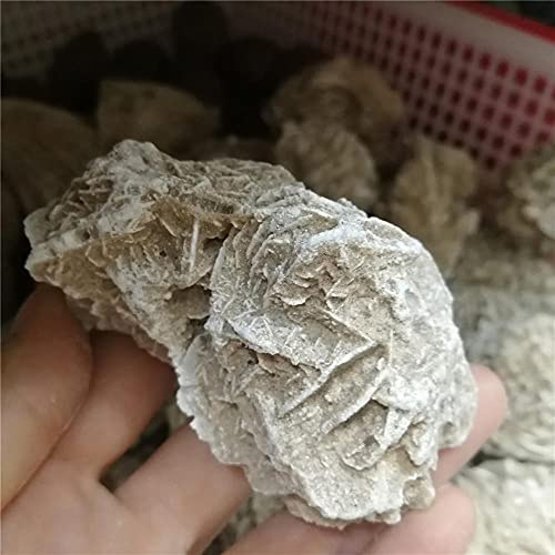 Esemplare di pietra minerale di pietra apatite blu naturale grezza Rosa del deserto per la decorazione o ction-50-60g_
