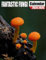 Fantastic Fungi Calendar 2024 - 2025: 24 Months Calendar Jan 2024 to December 2025, Thick & Sturdy Paper, Great Gift For Organizing & Planning, US Holidays
