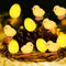 Eledreme 2m20 Lichterkette Ostern 20 LED Osterdeko für drinnen und draußen, warmweißes Osterküken, batteriebetrieben, LED, Kunststoff, biegsam, Osternsbeleuchtung, Lichterkette