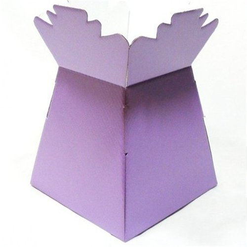 APAC Lilac Living Vase Flower Box Flower Bouquet Transporter, Sweet Tree Box