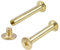 INCREWAY Lot de 30 vis Chicago à tête cruciforme en laiton plaqué laiton, 5 mm x 35 mm