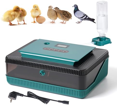 25 Eier-Inkubator mit Automatischem Wenden der Eier und Feuchtigkeitskontrolle, Hühner-Ei-Inkubator zum Ausbrüten von Eiern, Automatische Wasserzugabe zum Ausbrüten von Hühnereiern Ente Wachtel Vogel