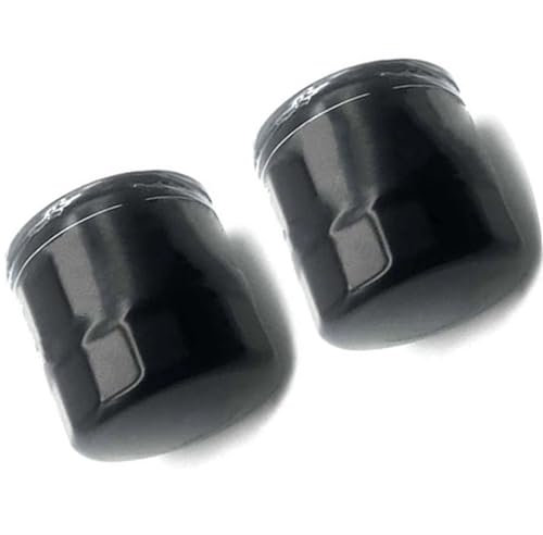 TGVSELPJ Accessori Filtro Filtro Olio Moto 2 Pezzi per Yamaha YZF-R6 60 Anniversario per Edizione 2016