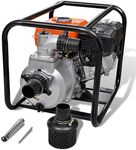 Festnight Motor de Gasolina Bomba de Agua - 3600rpm 3,6L 6,5HP - Material de Metal, 49x37x42 cm