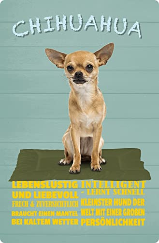 Metall Schild 20x30cm Chihuahua Hund Charakter Sprüche Blechschild