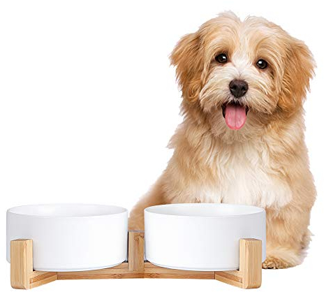 Ceramic Dog Bowl Set- Cat Dog Bowls with Non Slip Wood Stand - No Spill Double Pet Dish for Food Water Feeding (3.6 Cup-Suitable for medium sized dog)