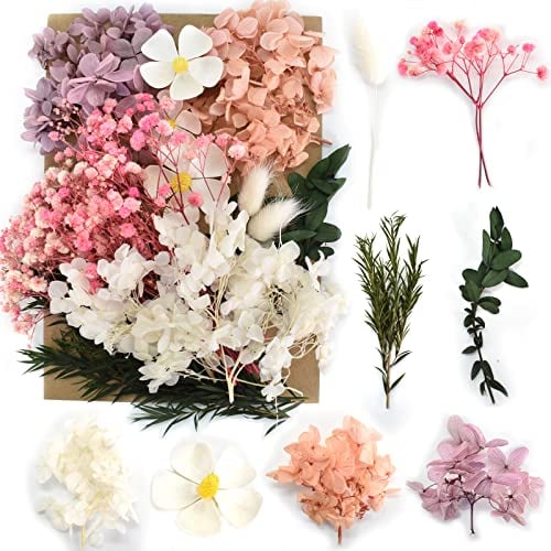 通用 Natürliche Getrocknete Blumen, Trockenblumen Set, Echte Getrocknete Gepresste Blumen und Blätter, DIY Natürliche Getrocknet Blumen Set für Kunst Basteln Dekoration (Weiß und Lila)