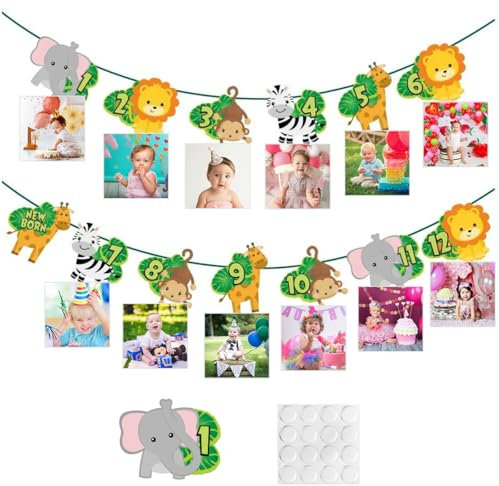 WWYSSZ Fotogirlande 1. Geburtstag, Baby Foto Banner Hängende, Fotogirlande zum Geburtstag für 1 Bis 12 Monate Baby, Waldtiere Geburtstag Deko, Kinder Monatlich Bild Prop für Party Dekor Mädchen/Jungen