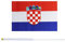 Art Mädchen 50 Stück Hand Held Flagge klein Mini Flagge Round Top National Land Flaggen 8.2 x 5.5'',11.8 Kroatien