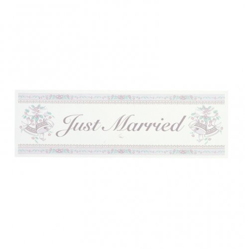 Amscan International Just Married Giant Banner