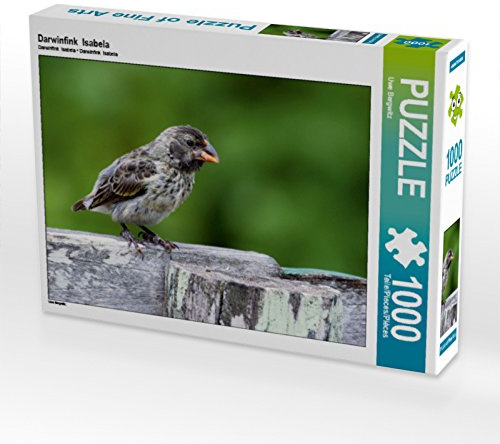 CALVENDO Puzzle Darwinfink Isabela | 1000 Teile Lege-Größe 64 x 48 cm Foto-Puzzle für glückliche Stunden