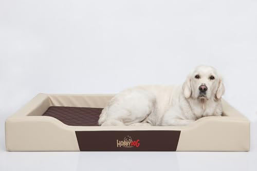 Bjird Hundebett - Hundekorb für kleine mittelgroße & große Hunde - Hundekissen - Hundesofa aus Kunstleder - Bezug abnehmbar und waschbar - Deluxe - Größe: L - Beige
