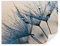 Tapeko Papier Peint Panoramique Fleurs 3D 260x180 cm style 3D Effet Fleurs Bleues Nature Papier Peint intissé pour Chambre Salon Décoration Murale u57557